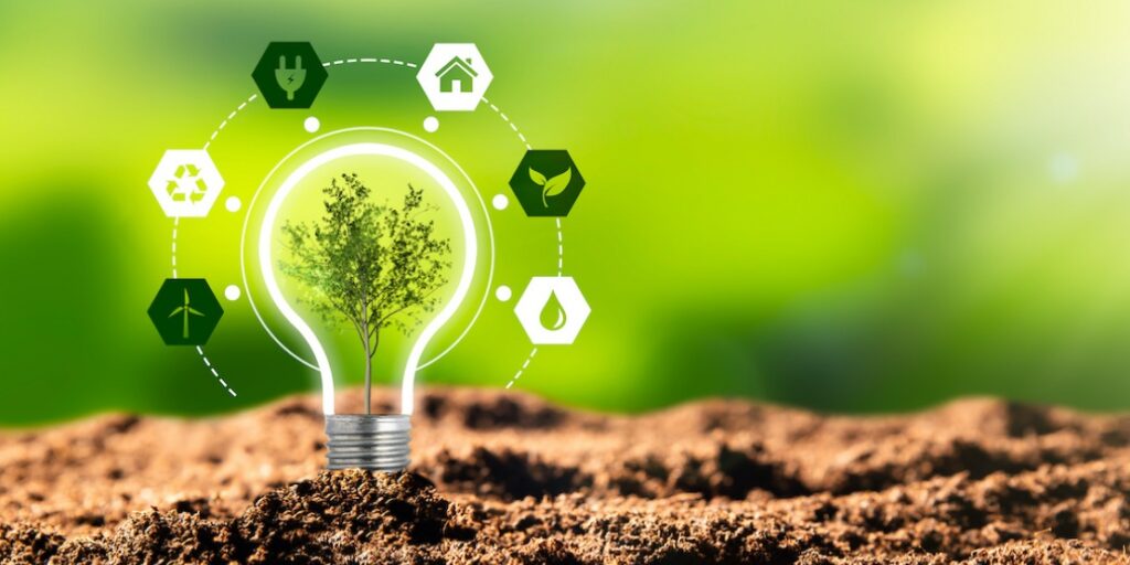 Energy Efficiency Tips for Homeowners: Simple Steps to Reduce Your Carbon Footprint